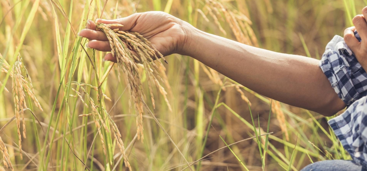 La Nación debe indemnizar a trabajadora tras 22 años de contratos precarios