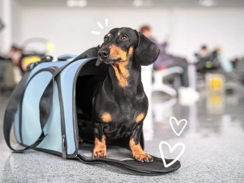 Abogado Laboral en Cordoba